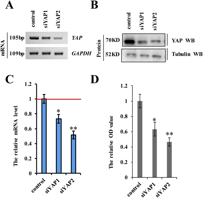 Supplementary Fig. 1