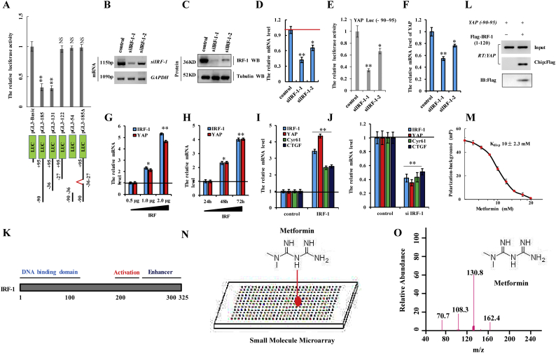 Supplementary Fig. 3