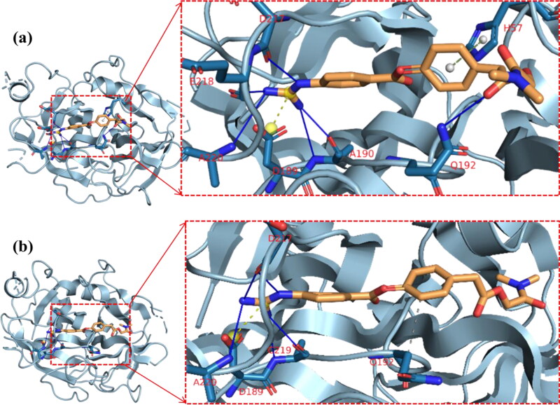 Figure 16.