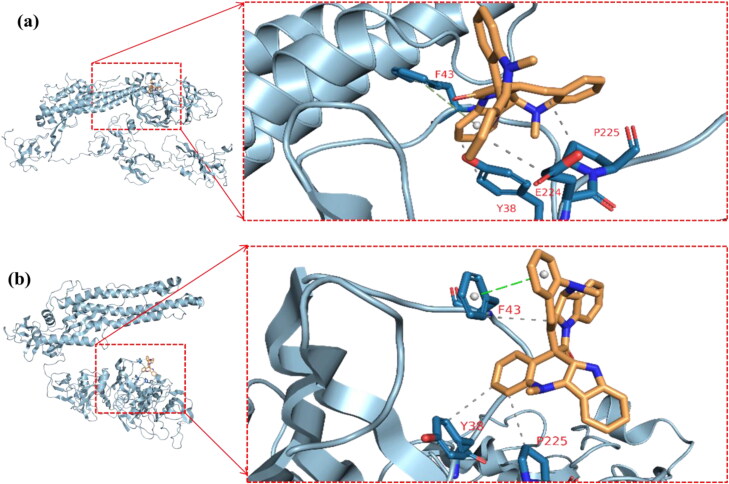 Figure 19.