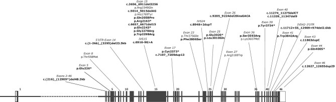 Figure 2: