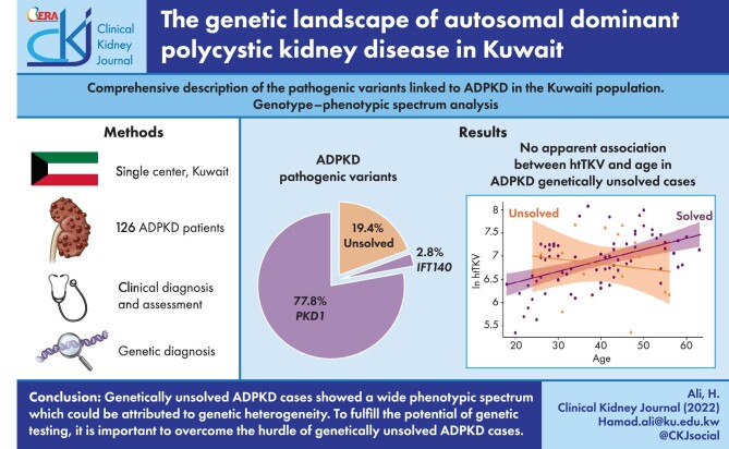 Graphical Abstract