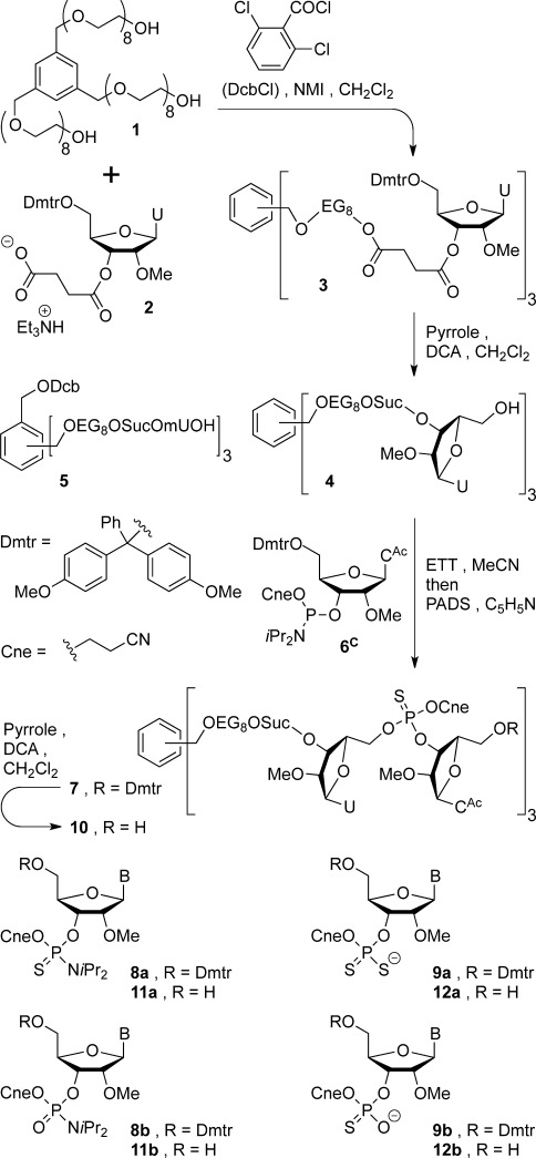 Scheme 1