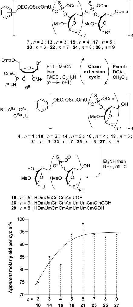 Scheme 2