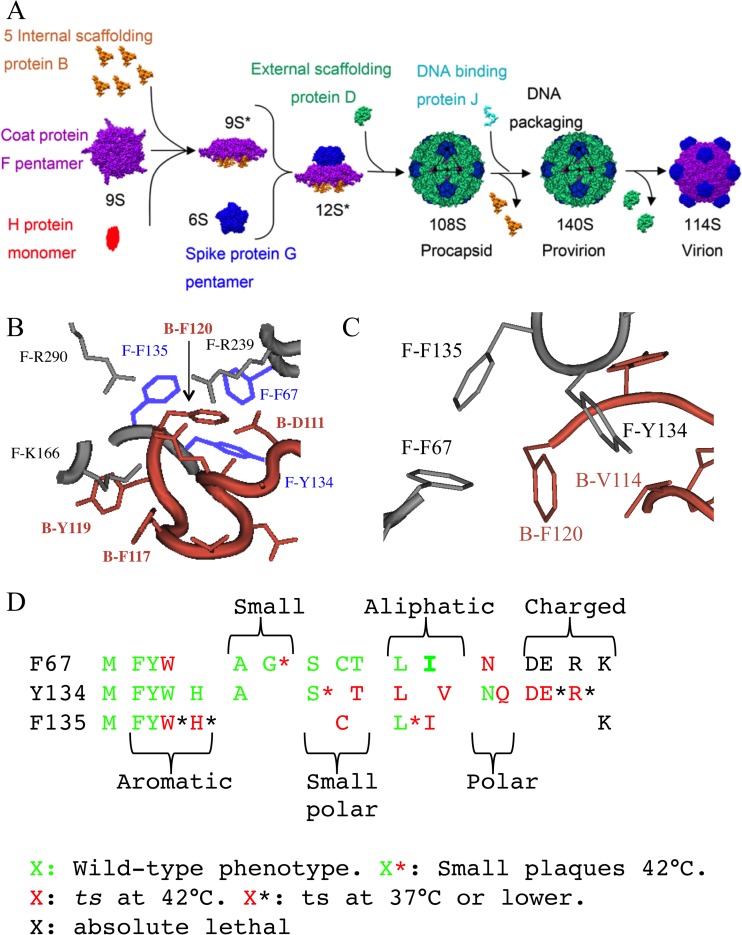 FIG 1