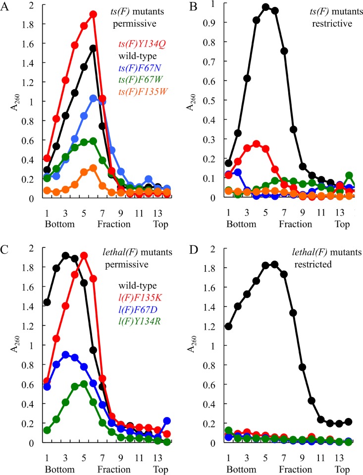 FIG 3