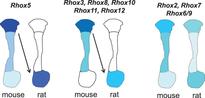 FIG. 7. 