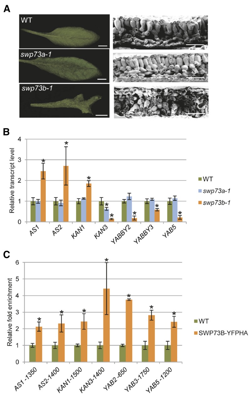 Figure 4.