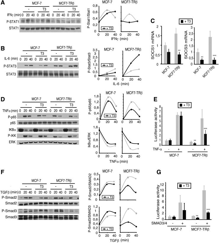 FIG. 8.