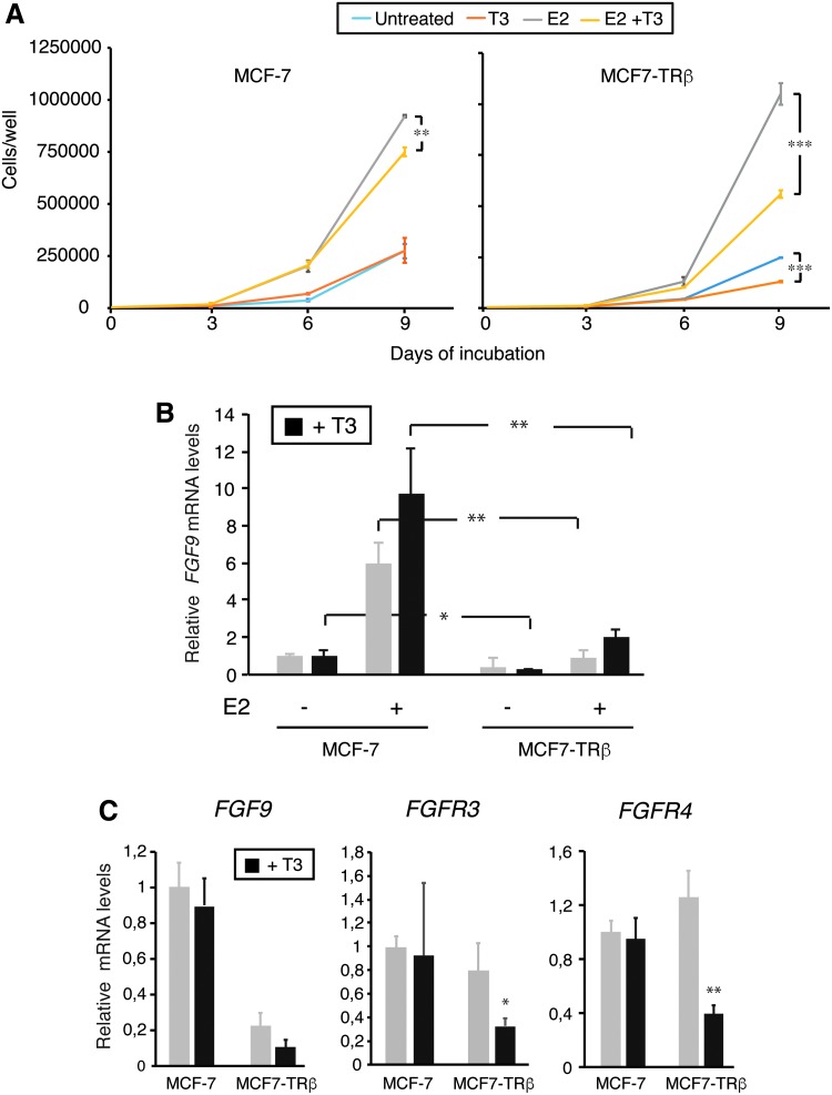 FIG. 7.