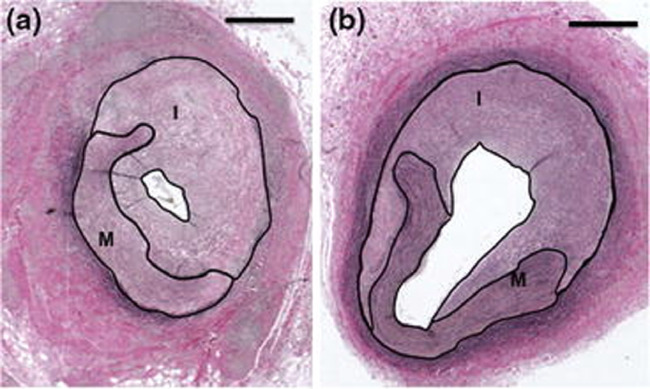 Fig 7