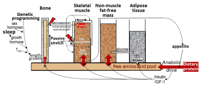 Figure 16