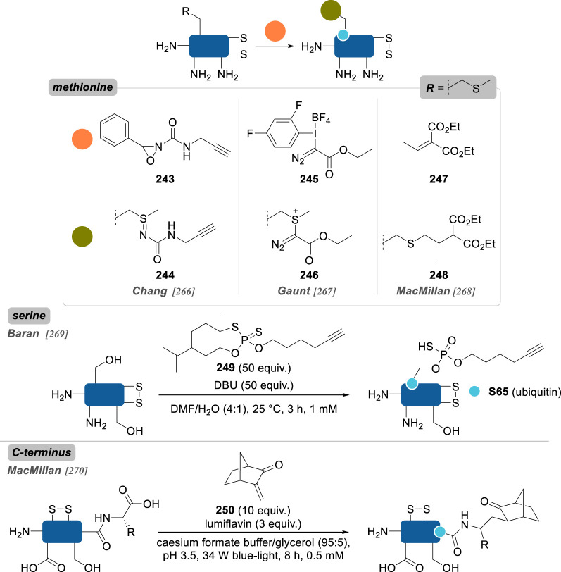 Figure 19. 