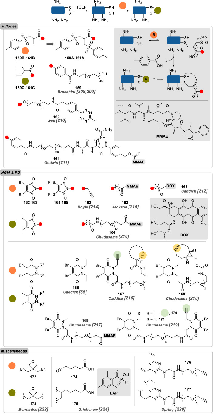 Figure 12. 