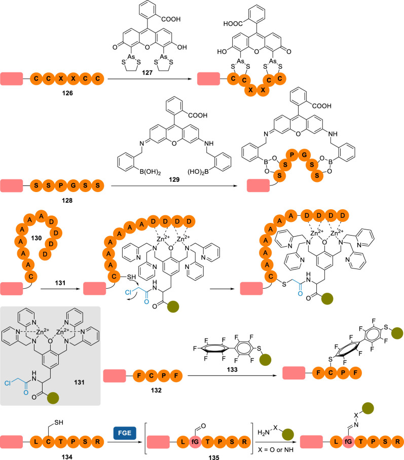 Figure 10. 