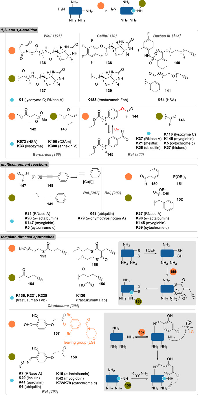 Figure 11. 