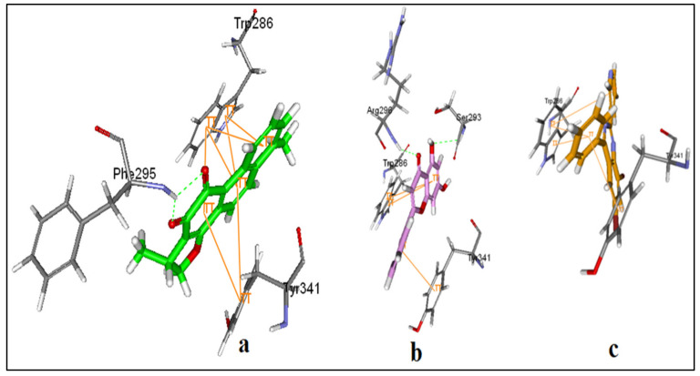 Figure 6