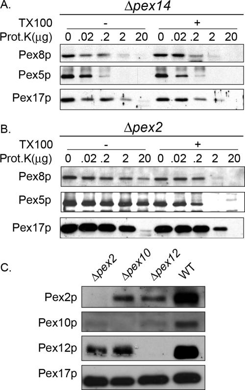 Figure 7.