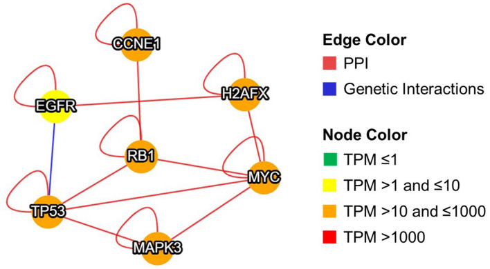 FIGURE 3