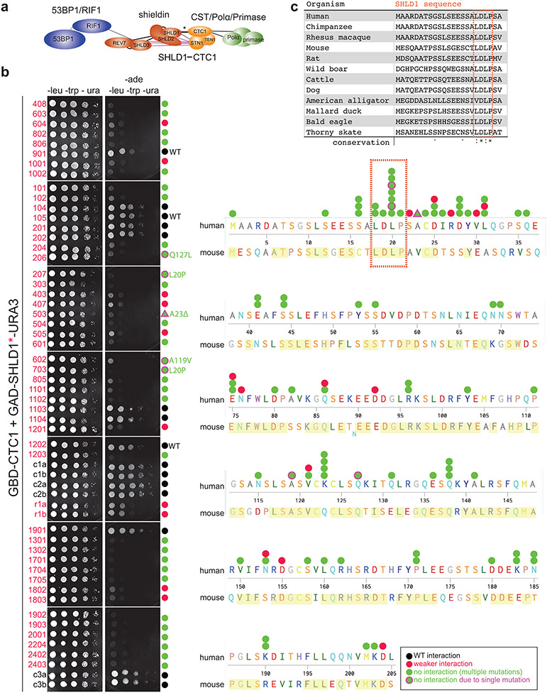 Extended Data Fig. 7