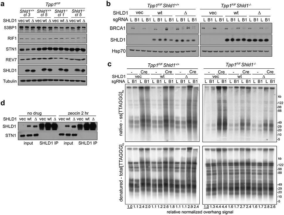 Extended Data Fig. 9