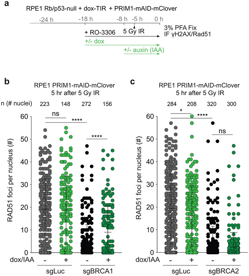 Extended Data Fig. 2