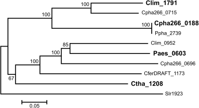 Fig. 3.