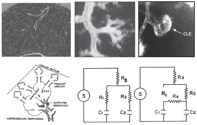 Figure 2)