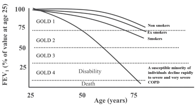 Figure 1)