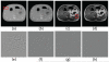 Fig. 9
