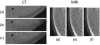 Fig. 13