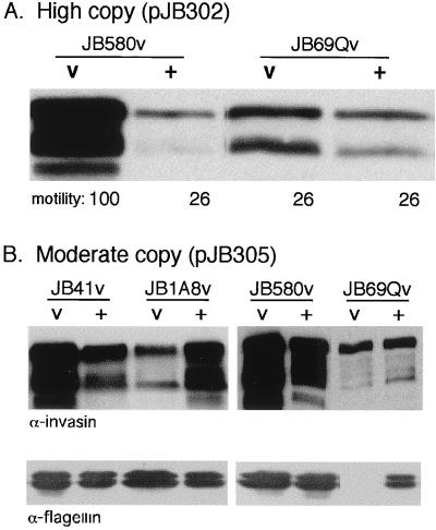 FIG. 5