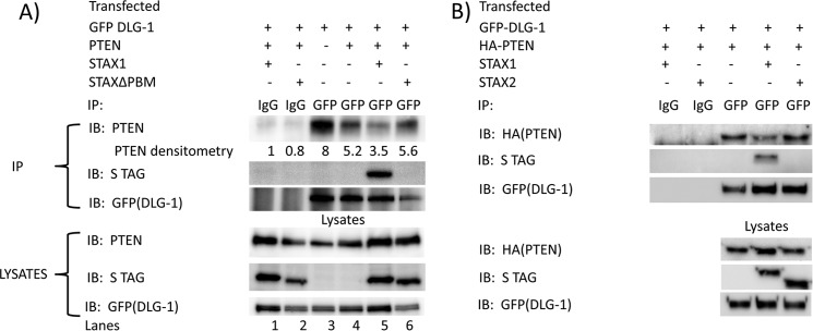 FIGURE 9.