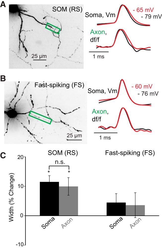 Figure 6.