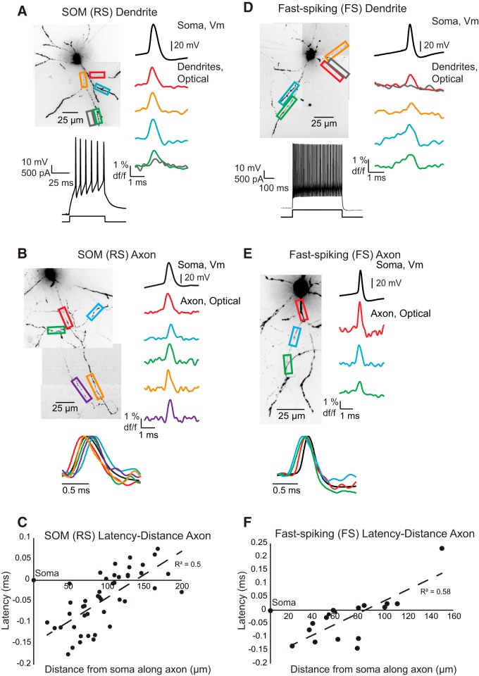 Figure 2.