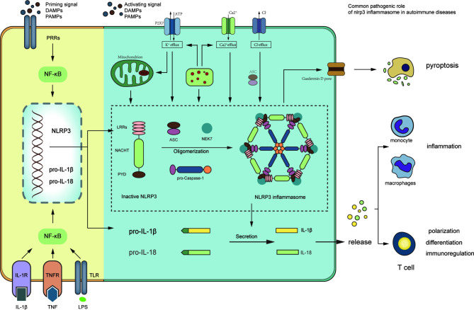 Figure 2