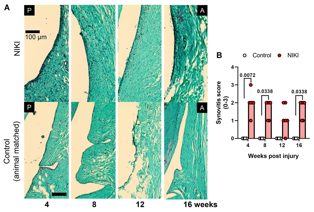 Figure 7.