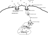 FIGURE 10.