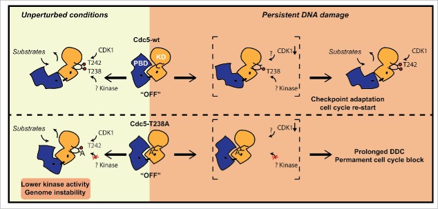 Figure 7.