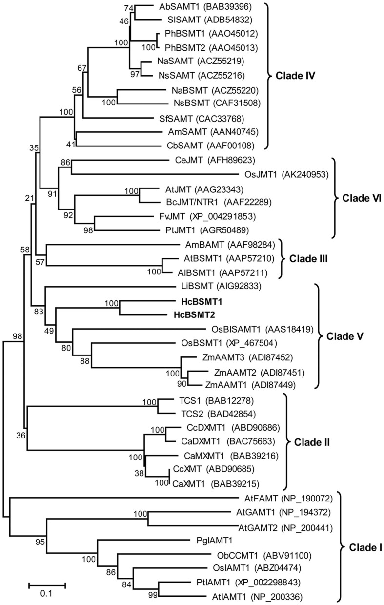 Figure 6