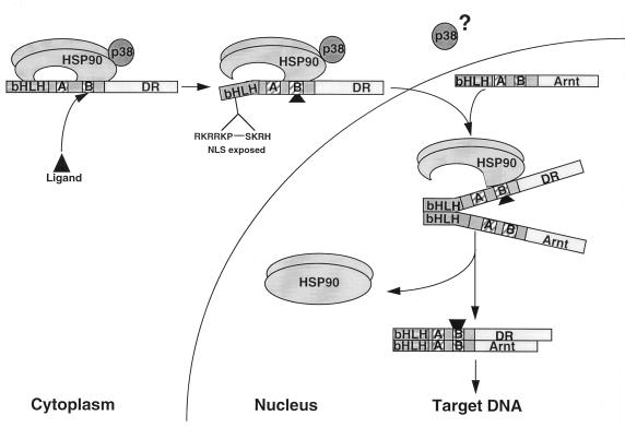 FIG. 8