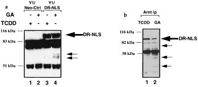 FIG. 7