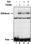 FIG. 5