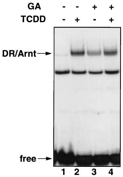 FIG. 5