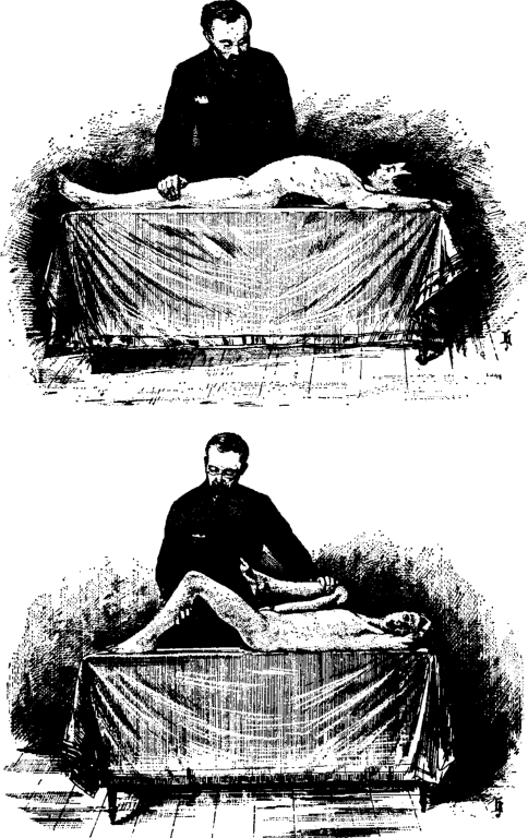 Fig. 1