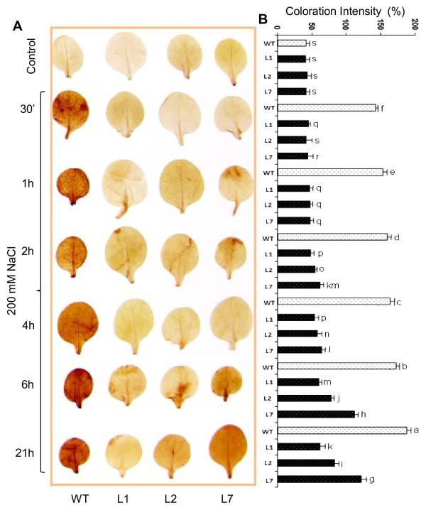 Figure 4 