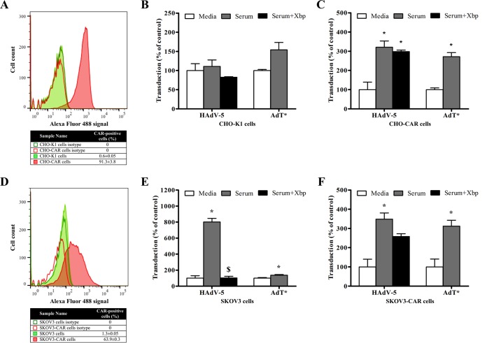 FIG 3