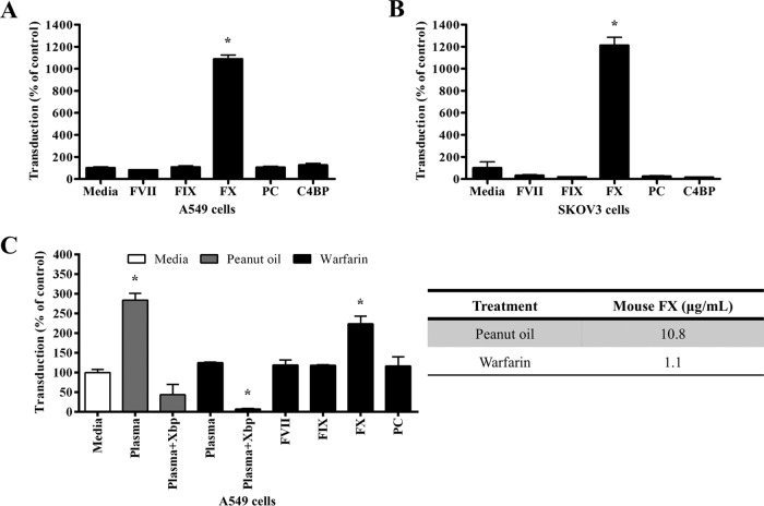 FIG 6