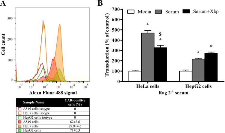 FIG 2