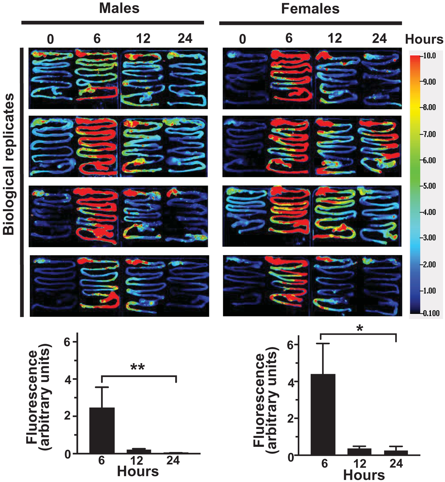 Figure 3: